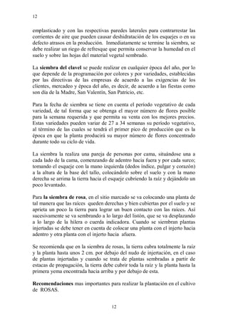 12


emplasticado y con las respectivas paredes laterales para contrarrestar las
corrientes de aire que pueden causar deshidratación de los esquejes o en su
defecto atrasos en la producción. Inmediatamente se termine la siembra, se
debe realizar un riego de refresque que permita conservar la humedad en el
suelo y sobre las hojas del material vegetal sembrado.

La siembra del clavel se puede realizar en cualquier época del año, por lo
que depende de la programación por colores y por variedades, establecidas
por las directivas de las empresas de acuerdo a las exigencias de los
clientes, mercadeo y época del año, es decir, de acuerdo a las fiestas como
son día de la Madre, San Valentín, San Patricio, etc.

Para la fecha de siembra se tiene en cuenta el período vegetativo de cada
variedad, de tal forma que se obtenga el mayor número de flores posible
para la semana requerida y que permita su venta con los mejores precios.
Estas variedades pueden variar de 27 a 34 semanas su período vegetativo,
al término de las cuales se tendrá el primer pico de producción que es la
época en que la planta producirá su mayor número de flores concentrado
durante todo su ciclo de vida.

La siembra la realiza una pareja de personas por cama, situándose una a
cada lado de la cama, comenzando de adentro hacia fuera y por cada surco;
tomando el esqueje con la mano izquierda (dedos índice, pulgar y corazón)
a la altura de la base del tallo, colocándolo sobre el suelo y con la mano
derecha se arrima la tierra hacia el esqueje cubriendo la raíz y dejándolo un
poco levantado.

Para la siembra de rosa, en el sitio marcado se va colocando una planta de
tal manera que las raíces queden derechas y bien cubiertas por el suelo y se
aprieta un poco la tierra para lograr un buen contacto con las raíces. Así
sucesivamente se va sembrando a lo largo del listón, que se va desplazando
a lo largo de la hilera o cuerda indicadora. Cuando se siembran plantas
injertadas se debe tener en cuenta de colocar una planta con el injerto hacia
adentro y otra planta con el injerto hacia afuera.

Se recomienda que en la siembra de rosas, la tierra cubra totalmente la raíz
y la planta hasta unos 2 cm. por debajo del nudo de injertación, en el caso
de plantas injertadas y cuando se trata de plantas sembradas a partir de
estacas de propagación, la tierra debe cubrir toda la raíz y la planta hasta la
primera yema encontrada hacia arriba y por debajo de esta.

Recomendaciones mas importantes para realizar la plantación en el cultivo
de ROSAS.


                                      12
 