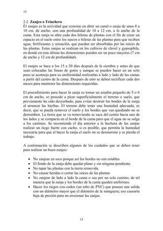15


2.2. Zanjeo o Trinchera
Él zanjeo es la actividad que consiste en abrir un canal o zanja de unos 8 a
10 cm. de ancho, con una profundidad de 10 a 12 cm. a lo ancho de la
cama. Esta zanja se abre cada dos hileras de plantas con el fin de crear un
espacio en el suelo entre los surcos e hileras de las plantas para que reciban
agua, fertilizantes y aireación, que puedan ser absorbidas por las raíces de
las plantas. Estas zanjas se realizan en los cultivos de clavel y gypsophila,
en donde en esta última las dimensiones pueden ser un poco mayores (7 cm
de ancho y 12 cm de profundidad).

El zanjeo se hace a los 15 a 20 días después de la siembra y antes de que
sean colocadas las líneas de goteo y aunque se pueden hacer en un solo
paso se aconseja para su uniformidad realizarlas a lado y lado de las camas
a partir del centro de la cama. Después de esto se deben rectificar cada dos
meses para mantener las dimensiones requeridas.

El procedimiento para hacer la zanja es tomar un azadón pequeño de 5 o 6
cm de ancho, se procede a picar superficialmente el terreno o suelo, que
previamente ha sido desyerbado, para evitar destruir los bordes de la zanja
al arrancar las hierbas. El terreno debe tener una humedad adecuada, es
decir, que se pueda remover el suelo y los bordes que van quedando no se
derrumben. La tierra que se va removiendo se saca del centro hacia uno de
los lados y se compacta en el borde de la cama para que el agua no se salga
a los caminos. Se recomienda el día anterior a la hechura de las zanjas
realizar un riego fuerte con cacho, si es posible, que permita la humedad
necesaria para que al hacer la zanja el suelo no se desmorone y se pierda el
trabajo.

A continuación se describen algunos de los cuidados que se deben tener
para realizar un buen zanjeo:

      No zanjear en seco porque así los bordes no son estables
      El fondo de la zanja debe quedar plano y sin ninguna pendiente.
      No tapar las plantas con la tierra removida.
      No causar heridas o cortar las raíces de las plantas
      No zanjear de lado a lado la cama o sea por un solo camino, de tal
       manera que la zanja y los bordes de la cama queden uniformes.
      Hacer los riegos con codos (un tubo de PVC) que posean una salida
       con un diámetro mayor que el diámetro de la manguera; eso causaría
       baja de presión para no erosionar las zanjas.




                                     15
 