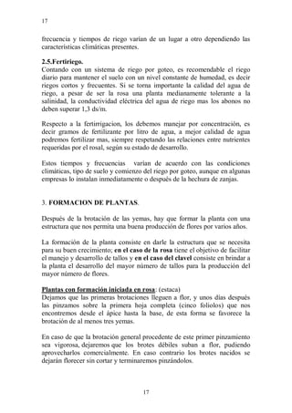 17


frecuencia y tiempos de riego varían de un lugar a otro dependiendo las
características climáticas presentes.

2.5.Fertiriego.
Contando con un sistema de riego por goteo, es recomendable el riego
diario para mantener el suelo con un nivel constante de humedad, es decir
riegos cortos y frecuentes. Si se torna importante la calidad del agua de
riego, a pesar de ser la rosa una planta medianamente tolerante a la
salinidad, la conductividad eléctrica del agua de riego mas los abonos no
deben superar 1,3 ds/m.

Respecto a la fertirrigacion, los debemos manejar por concentración, es
decir gramos de fertilizante por litro de agua, a mejor calidad de agua
podremos fertilizar mas, siempre respetando las relaciones entre nutrientes
requeridas por el rosal, según su estado de desarrollo.

Estos tiempos y frecuencias varían de acuerdo con las condiciones
climáticas, tipo de suelo y comienzo del riego por goteo, aunque en algunas
empresas lo instalan inmediatamente o después de la hechura de zanjas.


3. FORMACION DE PLANTAS.

Después de la brotación de las yemas, hay que formar la planta con una
estructura que nos permita una buena producción de flores por varios años.

La formación de la planta consiste en darle la estructura que se necesita
para su buen crecimiento; en el caso de la rosa tiene el objetivo de facilitar
el manejo y desarrollo de tallos y en el caso del clavel consiste en brindar a
la planta el desarrollo del mayor número de tallos para la producción del
mayor número de flores.

Plantas con formación iniciada en rosa: (estaca)
Dejamos que las primeras brotaciones lleguen a flor, y unos días después
las pinzamos sobre la primera hoja completa (cinco foliolos) que nos
encontremos desde el ápice hasta la base, de esta forma se favorece la
brotación de al menos tres yemas.

En caso de que la brotación general procedente de este primer pinzamiento
sea vigorosa, dejaremos que los brotes débiles suban a flor, pudiendo
aprovecharlos comercialmente. En caso contrario los brotes nacidos se
dejarán florecer sin cortar y terminaremos pinzándolos.



                                     17
 