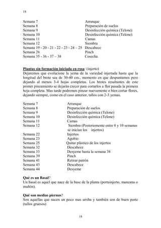 18


Semana 7                                  Arranque
Semana 8                                  Preparación de suelos
Semana 9                                  Desinfección química (Telone)
Semana 10                                 Desinfección química (Telone)
Semana 11                                 Camas
Semana 12                                 Siembra
Semana 19 - 20 - 21 - 22 - 23 - 24 – 25   Descabece
Semana 26                                 Pinch
Semana 35 - 36 - 37 – 38                  Cosecha.


Plantas sin formación iniciada en rosa: (injerto)
Dejaremos que evolucione la yema de la variedad injertada hasta que la
longitud del brote sea de 30-40 cm., momento en que despuntamos pero
dejando al menos 3-4 hojas completas. Los brotes resultantes de este
primer pinzamiento se dejarán crecer para cortarlos a flor pasada la primera
hoja completa. Mas tarde podremos pinzar nuevamente o bien cortar flores,
dejando siempre, como en el caso anterior, tallos con 2-3 yemas.

Semana 7                    Arranque
Semana 8                    Preparación de suelos
Semana 9                    Desinfección química (Telone)
Semana 10                   Desinfección química (Telone)
Semana 11                   Camas
Semana 12                    Siembra (Posteriomente entre 8 y 10 semanas
                            se inician los injertos)
Semana 22                   Injertos
Semana 23                   Agobio
Semana 25                   Quitar plástico de los injertos
Semana 32                   Descabece
Semana 33                   Desyeme hasta la semana 38
Semana 39                   Pinch
Semana 41                   Retirar patrón
Semana 43                   Descabece
Semana 44                   Desyeme

Qué es un Basal?
Un basal es aquel que nace de la base de la planta (portainjerto, manzana o
muñón).

Qué son medias piernas?
Son aquellas que nacen un poco mas arriba y también son de buen porte
(tallos gruesos)


                                    18
 