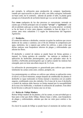 28


por ejemplo, la utilización para producción de compost. Igualmente,
cuando por equivocación se parte un tallo, este debe corregirse realizando
un buen corte; de lo contrario, además de perder el tallo, la planta gasta
energía en el desarrollo de un botón lateral que va a ser de mala calidad.

Para rosas cualquiera de los dos procesos es conveniente, teniendo en
cuenta que el botón principal esté en tamaño "arveja" o "garbanzo" y de
ahí en adelante cada que se emita, hasta llegar a la yema anterior en donde
se ha de hacer el corte; para algunas variedades se han de dejar 4 o 5
yemas, para otras solamente 3 o según las instrucciones del Ingeniero
Agrónomo.

4.5. Deshierbe.
El control de malezas o deshierbe, consiste en quitar las malezas que crecen
dentro de las camas o caminos; con el fin de eliminar la competencia por
agua, nutrientes, luz y espacio que sufren los cultivos, y para evitar que
dichas malezas sean hospederos alternos de plagas y enfermedades que
afectan las flores.

Él deshierbe o control de maleza se puede hacer de forma química o
manual. La forma química de controlar las malezas es mediante la
aplicación de herbicidas preemergentes, que son aplicados antes de la
siembra y herbicidas postemergentes que se aplica cuando las malezas han
emergido, pero no tiene una altura mayor de 3 o 4 cm.

La utilización de preemergentes es generalizada para cultivos que cierran
totalmente las camas como aster, estatice, pompón, etc.

Los postemergentes se utilizan en cultivos que toleran su aplicación como
el clavel y el clavel miniatura, aunque después de establecidas las plantas el
deshierbe se sigue realizando en forma manual y mecánica con un azadón
angosto, combinando estos dos métodos. En el caso de la rosa el deshierbe
o control de malezas debe hacerse en forma manual por la susceptibilidad
de la rosa a los herbicidas, o mediante la utilización de azadones. Esta labor
ha de llevarse a cabo por lo menos una vez al mes.

4.6. Retiro de Follaje Maduro.
Retirar follaje maduro de las plantas y de las camas, es una actividad que se
hace para evitar que dicho follaje, llámese hojas o tallos, sean hospederos
de plagas y enfermedades, además que dan un valor poco estético a las
camas.

En clavel la sacada de follaje se puede hacer al momento de realizar otras


                                     28
 