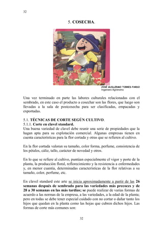 32


                              5. COSECHA.




                                                    JOSÉ GUILLERMO TORRES PARDO
                                                     Ingeniero Agrónomo


Una vez terminado en parte las labores culturales relacionadas con el
sembrado, en este caso el producto a cosechar son las flores, que luego son
llevadas a la sala de postcosecha para ser clasificadas, empacadas y
exportadas.

5.1. TÉCNICAS DE CORTE SEGÚN CULTIVO.
5.1.1. Corte en clavel standard.
Una buena variedad de clavel debe reunir una serie de propiedades que la
hagan apta para su explotación comercial. Algunas empresas tienen en
cuenta características para la flor cortada y otras que se refieren al cultivo.

En la flor cortada valoran su tamaño, color forma, perfume, consistencia de
los pétalos, cáliz, tallo, carácter de novedad y otros.

En lo que se refiere al cultivo, puntúan especialmente el vigor y porte de la
planta, la producción floral, reflorecimiento y la resistencia a enfermedades
y, en menor cuantía, determinadas características de la flor relativas a su
tamaño, color, perfume, etc.

En clavel standard este arte se inicia aproximadamente a partir de las 26
semanas después de sembrado para las variedades más precoces y de
28 a 30 semanas en las más tardías; se puede realizar de varias formas de
acuerdo a las normas de la empresa, a las variedades, a la edad de la planta;
pero en todas se debe tener especial cuidado con no cortar o dañar tanto los
hijos que quedan en la planta como las hojas que cubren dichos hijos. Las
formas de corte más comunes son:

                                      32
 