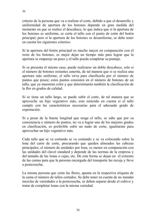 36


criterio de la persona que va a realizar el corte, debido a que el desarrollo y
uniformidad de apertura de los botones depende en gran medida del
momento en que se realice el descabece, lo que indica que si la apertura de
los botones es uniforme, se corta el tallo con el punto de corte del botón
principal; pero si la apertura de los botones es desuniforme, se debe tener
en cuenta los siguientes criterios:

Si la apertura del botón principal es mucho mayor en comparación con el
resto de los botones, es mejor dejar un tiempo más para lograr que la
apertura se empareje un poco y el tallo pueda completar su puntaje.

Si se presenta el mismo caso, puede realizarse un doble descabece, solo si
el número de botones restantes amerita, de tal manera que si se realiza una
apertura más uniforme, el tallo sirva para clasificarlo por el número de
puntos que posee; estos puntos consisten en el número de botones de un
tallo, que ya muestran color y que determinarán también la clasificación de
la flor en grados de calidad.

Si se tiene un tallo largo, se puede subir el corte, de tal manera que se
aproveche un hijo vegetativo más; esto teniendo en cuenta si el tallo
cumple con las características necesarias para el adecuado grado de
exportación.

Si a pesar de la buena longitud que tenga el tallo, se sabe que por su
consistencia o número de puntos, no va a lograr uno de los mejores grados
en clasificación, es preferible subir un nudo de corte, igualmente para
aprovechar un hijo vegetativo más.

Cada tallo que se va cortando se va contando y se va colocando sobre la
lona del carro de corte, procurando que queden alineados las cabezas
principales; el número de unidades por lona, es menor en comparación con
las unidades del clavel standard y depende de las normas de la empresa y
del tamaño de las lonas o cajas, etc. De esta forma se dejan en el extremo
de las camas para que la persona encargada del transporte las recoja y lleve
a postcosecha.

La misma persona que corta las flores, apunta en la respectiva etiqueta de
la cama el número de tallos cortados. Se debe tener en cuenta de no mandar
mezclas de variedades a la postcosecha, se deben separar desde el cultivo y
tratar de completar lonas con la misma variedad.




                                      36
 