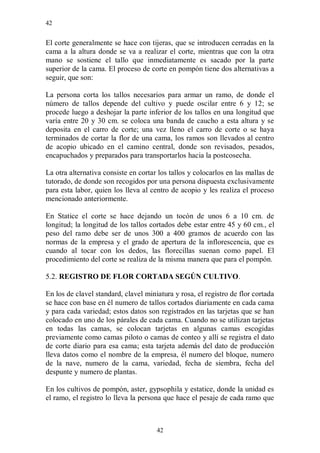 42


El corte generalmente se hace con tijeras, que se introducen cerradas en la
cama a la altura donde se va a realizar el corte, mientras que con la otra
mano se sostiene el tallo que inmediatamente es sacado por la parte
superior de la cama. El proceso de corte en pompón tiene dos alternativas a
seguir, que son:

La persona corta los tallos necesarios para armar un ramo, de donde el
número de tallos depende del cultivo y puede oscilar entre 6 y 12; se
procede luego a deshojar la parte inferior de los tallos en una longitud que
varía entre 20 y 30 cm. se coloca una banda de caucho a esta altura y se
deposita en el carro de corte; una vez lleno el carro de corte o se haya
terminados de cortar la flor de una cama, los ramos son llevados al centro
de acopio ubicado en el camino central, donde son revisados, pesados,
encapuchados y preparados para transportarlos hacia la postcosecha.

La otra alternativa consiste en cortar los tallos y colocarlos en las mallas de
tutorado, de donde son recogidos por una persona dispuesta exclusivamente
para esta labor, quien los lleva al centro de acopio y les realiza el proceso
mencionado anteriormente.

En Statice el corte se hace dejando un tocón de unos 6 a 10 cm. de
longitud; la longitud de los tallos cortados debe estar entre 45 y 60 cm., el
peso del ramo debe ser de unos 300 a 400 gramos de acuerdo con las
normas de la empresa y el grado de apertura de la inflorescencia, que es
cuando al tocar con los dedos, las florecillas suenan como papel. El
procedimiento del corte se realiza de la misma manera que para el pompón.

5.2. REGISTRO DE FLOR CORTADA SEGÚN CULTIVO.

En los de clavel standard, clavel miniatura y rosa, el registro de flor cortada
se hace con base en él numero de tallos cortados diariamente en cada cama
y para cada variedad; estos datos son registrados en las tarjetas que se han
colocado en uno de los párales de cada cama. Cuando no se utilizan tarjetas
en todas las camas, se colocan tarjetas en algunas camas escogidas
previamente como camas piloto o camas de conteo y allí se registra el dato
de corte diario para esa cama; esta tarjeta además del dato de producción
lleva datos como el nombre de la empresa, él numero del bloque, numero
de la nave, numero de la cama, variedad, fecha de siembra, fecha del
despunte y numero de plantas.

En los cultivos de pompón, aster, gypsophila y estatice, donde la unidad es
el ramo, el registro lo lleva la persona que hace el pesaje de cada ramo que



                                      42
 