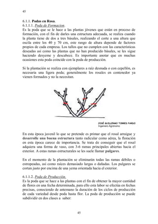 45


6.1.1. Podas en Rosa.
6.1.1.1. Poda de Formacion.
Es la poda que se le hace a las plantas jóvenes que están en proceso de
formación, con el fin de darles una estructura adecuada, se realiza cuando
la planta tiene de dos a tres básales, realizando el corte a una altura que
oscila entre los 40 y 70 cm, este rango de altura depende de factores
propios de cada empresa. Los tallos que no cumplen con las características
deseadas así como las plantas que no han producido básales, se les sigue
haciendo desyeme y descabece. Es importante anotar que en muchas
ocasiones esta poda coincide con la poda de producción.

Si la plantación se realiza con ejemplares a raíz desnuda o con cepellón, es
necesaria una ligera poda; generalmente los rosales en contenedor ya
vienen formados y no la necesitan.




                                                   JOSÉ GUILLERMO TORRES PARDO
                                                   Ingeniero Agrónomo


En esta época juvenil lo que se pretende es primar que el rosal arraigue y
desarrolle una buena estructura tanto radicular como aérea, la floración
en esta época carece de importancia. Se trata de conseguir que el rosal
adquiera una forma de vaso, con 3-6 ramas principales abiertas hacia el
exterior. A estas ramas estructurales se les suele llamar pulgares.

En el momento de la plantación se eliminarán todas las ramas débiles o
estropeadas, así como raíces demasiado largas o dañadas. Los pulgares se
cortan justo por encima de una yema orientada hacia el exterior.

6.1.1.2. Poda de Producción.
Es la poda que se hace a las plantas con el fin de obtener la mayor cantidad
de flores en una fecha determinada, para ello esta labor se efectúa en fechas
precisas, conociendo de antemano la duración de los ciclos de producción
de cada variedad desde poda hasta flor. La poda de producción se puede
subdividir en dos clases a saber:


                                     45
 