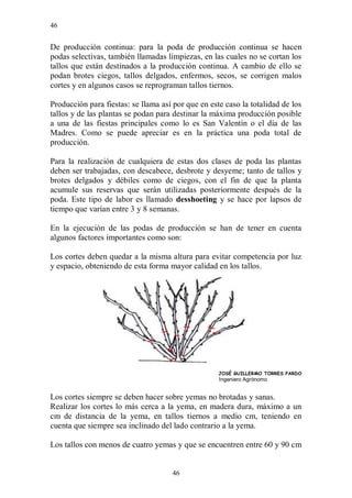 46


De producción continua: para la poda de producción continua se hacen
podas selectivas, también llamadas limpiezas, en las cuales no se cortan los
tallos que están destinados a la producción continua. A cambio de ello se
podan brotes ciegos, tallos delgados, enfermos, secos, se corrigen malos
cortes y en algunos casos se reprograman tallos tiernos.

Producción para fiestas: se llama así por que en este caso la totalidad de los
tallos y de las plantas se podan para destinar la máxima producción posible
a una de las fiestas principales como lo es San Valentín o el día de las
Madres. Como se puede apreciar es en la práctica una poda total de
producción.

Para la realización de cualquiera de estas dos clases de poda las plantas
deben ser trabajadas, con descabece, desbrote y desyeme; tanto de tallos y
brotes delgados y débiles como de ciegos, con el fin de que la planta
acumule sus reservas que serán utilizadas posteriormente después de la
poda. Este tipo de labor es llamado desshoeting y se hace por lapsos de
tiempo que varían entre 3 y 8 semanas.

En la ejecución de las podas de producción se han de tener en cuenta
algunos factores importantes como son:

Los cortes deben quedar a la misma altura para evitar competencia por luz
y espacio, obteniendo de esta forma mayor calidad en los tallos.




                                                    JOSÉ GUILLERMO TORRES PARDO
                                                    Ingeniero Agrónomo


Los cortes siempre se deben hacer sobre yemas no brotadas y sanas.
Realizar los cortes lo más cerca a la yema, en madera dura, máximo a un
cm de distancia de la yema, en tallos tiernos a medio cm, teniendo en
cuenta que siempre sea inclinado del lado contrario a la yema.

Los tallos con menos de cuatro yemas y que se encuentren entre 60 y 90 cm


                                     46
 