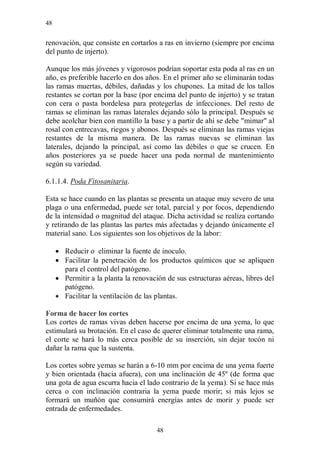 48


renovación, que consiste en cortarlos a ras en invierno (siempre por encima
del punto de injerto).

Aunque los más jóvenes y vigorosos podrían soportar esta poda al ras en un
año, es preferible hacerlo en dos años. En el primer año se eliminarán todas
las ramas muertas, débiles, dañadas y los chupones. La mitad de los tallos
restantes se cortan por la base (por encima del punto de injerto) y se tratan
con cera o pasta bordelesa para protegerlas de infecciones. Del resto de
ramas se eliminan las ramas laterales dejando sólo la principal. Después se
debe acolchar bien con mantillo la base y a partir de ahí se debe "mimar" al
rosal con entrecavas, riegos y abonos. Después se eliminan las ramas viejas
restantes de la misma manera. De las ramas nuevas se eliminan las
laterales, dejando la principal, así como las débiles o que se crucen. En
años posteriores ya se puede hacer una poda normal de mantenimiento
según su variedad.

6.1.1.4. Poda Fitosanitaria.

Esta se hace cuando en las plantas se presenta un ataque muy severo de una
plaga o una enfermedad, puede ser total, parcial y por focos, dependiendo
de la intensidad o magnitud del ataque. Dicha actividad se realiza cortando
y retirando de las plantas las partes más afectadas y dejando únicamente el
material sano. Los siguientes son los objetivos de la labor:

      Reducir o eliminar la fuente de inoculo.
      Facilitar la penetración de los productos químicos que se apliquen
       para el control del patógeno.
      Permitir a la planta la renovación de sus estructuras aéreas, libres del
       patógeno.
      Facilitar la ventilación de las plantas.

Forma de hacer los cortes
Los cortes de ramas vivas deben hacerse por encima de una yema, lo que
estimulará su brotación. En el caso de querer eliminar totalmente una rama,
el corte se hará lo más cerca posible de su inserción, sin dejar tocón ni
dañar la rama que la sustenta.

Los cortes sobre yemas se harán a 6-10 mm por encima de una yema fuerte
y bien orientada (hacia afuera), con una inclinación de 45º (de forma que
una gota de agua escurra hacia el lado contrario de la yema). Si se hace más
cerca o con inclinación contraria la yema puede morir; si más lejos se
formará un muñón que consumirá energías antes de morir y puede ser
entrada de enfermedades.

                                       48
 