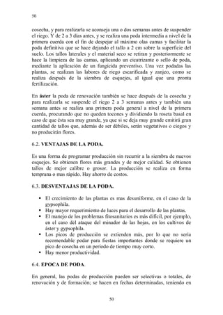 50


cosecha, y para realizarla se aconseja una o dos semanas antes de suspender
el riego. Y de 2 a 3 días antes, y se realiza una poda intermedia a nivel de la
primera cuerda con el fin de despejar al máximo olas camas y facilitar la
poda definitiva que se hace dejando el tallo a 2 cm sobre la superficie del
suelo. Los tallos laterales y el material seco se retiran y posteriormente se
hace la limpieza de las camas, aplicando un cicatrizante o sello de poda,
mediante la aplicación de un fungicida preventivo. Una vez podadas las
plantas, se realizan las labores de riego escarificada y zanjeo, como se
realiza después de la siembra de esquejes, al igual que una pronta
fertilización.

En áster la poda de renovación también se hace después de la cosecha y
para realizarla se suspende el riego 2 a 3 semanas antes y también una
semana antes se realiza una primera poda general a nivel de la primera
cuerda, procurando que no queden tocones y dividiendo la roseta basal en
caso de que ésta sea muy grande, ya que si se deja muy grande emitirá gran
cantidad de tallos que, además de ser débiles, serán vegetativos o ciegos y
no producirán flores.

6.2. VENTAJAS DE LA PODA.

Es una forma de programar producción sin recurrir a la siembra de nuevos
esquejes. Se obtienen flores más grandes y de mejor calidad. Se obtienen
tallos de mejor calibre o grosor. La producción se realiza en forma
temprana o mas rápido. Hay ahorro de costos.

6.3. DESVENTAJAS DE LA PODA.

      El crecimiento de las plantas es mas desuniforme, en el caso de la
       gypsophila.
      Hay mayor requerimiento de luces para el desarrollo de las plantas.
      El manejo de los problemas fitosanitarios es más difícil, por ejemplo,
       en el caso del ataque del minador de las hojas, en los cultivos de
       áster y gypsophila.
      Los picos de producción se extienden más, por lo que no sería
       recomendable podar para fiestas importantes donde se requiere un
       pico de cosecha en un período de tiempo muy corto.
      Hay menor productividad.

6.4. EPOCA DE PODA.

En general, las podas de producción pueden ser selectivas o totales, de
renovación y de formación; se hacen en fechas determinadas, teniendo en


                                      50
 