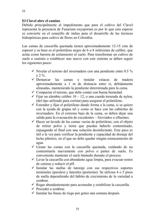 55


El Clavel abre el camino
Debido principalmente al impedimento que para el cultivo del Clavel
representa la presencia de Fusarium oxysporum es por lo que esta especie
se convierte en el conejillo de indias para el desarrollo de las técnicas
hidropónicas para cultivo de flores en Colombia.

Las camas de cascarilla quemada tienen aproximadamente 12-15 cms de
espesor y su base es el polietileno negro de 6 u 8 milésimas de calibre, que
actúa como barrera de aislamiento al suelo. Para transformar un cultivo de
suelo a sustrato o establecer uno nuevo con este sistema se deben seguir
los siguientes pasos:

       Nivelar el terreno del invernadero con una pendiente entre 0.5 %
        y 2 %.
       Demarcar las camas e instalar estacas de madera
        aproximadamente a 1 m de distancia entre sí, debidamente
        alineadas, manteniendo la pendiente determinada para la cama.
       Compactar el terreno, que debe contar con buena humedad.
       Fijar un alambre calibre 10 – 12, o una cuerda trenzada de nylon,
        (del tipo utilizado para cortina) para asegurar el polietileno.
       Extender y fijar el polietileno dando forma a la cama, si se quiere
        con la ayuda de grapas tal y como se hace con las cubiertas de
        invernadero. En el extremo bajo de la cama, se deben dejar una
        salida para la evacuación de excedentes – lixiviados o efluentes.
       Hacer un lavado de las camas vacías de polietileno, con el objeto
        de retirar polvo y tierra que puedan haberlo contaminado,
        enjuagando al final con una solución desinfectante. Este paso es
        útil a la vez para verificar la pendiente y capacidad de drenaje del
        lecho plástico, en el que no debe quedar ningún estancamiento de
        agua
       Llenar las camas con la cascarilla quemada, cuidando de no
        contaminarla nuevamente con polvo o partes de suelo. Es
        conveniente mantener el suelo húmedo durante el proceso.
       Lavar la cascarilla con abundante agua limpia, para evacuar restos
        de cenizas y reducir el pH.
       Instalar las mallas de tutoraje con sus respectivos soportes
        terminales (parales) y laterales (porterías). Se utilizan 4 o 5 pisos
        de malla dependiendo del hábito de crecimiento de la variedad a
        sembrar.
       Regar abundantemente para acomodar y estabilizar la cascarilla.
       Proceder a sembrar.
       Instalar las líneas de riego por goteo una semana después



                                     55
 
