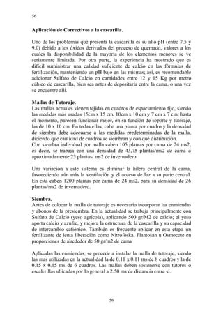 56


Aplicación de Correctivos a la cascarilla.

Uno de los problemas que presenta la cascarilla es su alto pH (entre 7.5 y
9.0) debido a los óxidos derivados del proceso de quemado, valores a los
cuales la disponibilidad de la mayoría de los elementos menores se ve
seriamente limitada. Por otra parte, la experiencia ha mostrado que es
difícil suministrar una calidad suficiente de calcio en las fórmulas de
fertilización, manteniendo un pH bajo en las mismas; así, es recomendable
adicionar Sulfato de Calcio en cantidades entre 12 y 15 Kg por metro
cúbico de cascarilla, bien sea antes de depositarla entre la cama, o una vez
se encuentre allí.

Mallas de Tutoraje.
Las mallas actuales vienen tejidas en cuadros de espaciamiento fijo, siendo
las medidas más usadas 15cm x 15 cm, 10cm x 10 cm y 7 cm x 7 cm; hasta
el momento, parecen funcionar mejor, en su función de soporte y tutoraje,
las de 10 x 10 cm. En todas ellas, cabe una planta por cuadro y la densidad
de siembra debe adecuarse a las medidas predeterminadas de la malla,
diciendo que cantidad de cuadros se siembran y con qué distribución.
Con siembra individual por malla caben 105 plantas por cama de 24 ms2,
es decir, se trabaja con una densidad de 43,75 plantas/ms2 de cama o
aproximadamente 23 plantas/ ms2 de invernadero.

Una variación a este sistema es eliminar la hilera central de la cama,
favoreciendo aún más la ventilación y el acceso de luz a su parte central.
En esta caben 1200 plantas por cama de 24 ms2, para su densidad de 26
plantas/ms2 de invernadero.

Siembra.
Antes de colocar la malla de tutoraje es necesario incorporar las enmiendas
y abonos de la presiembra. En la actualidad se trabaja principalmente con
Sulfato de Calcio (yeso agrícola), aplicando 500 gr/M2 de calcio; el yeso
aporta calcio y azufre, y mejora la estructura de la cascarilla y su capacidad
de intercambio catiónico. También es frecuente aplicar en esta etapa un
fertilizante de lenta liberación como Nitrofoska, Plantosan u Osmocote en
proporciones de alrededor de 50 gr/m2 de cama

Aplicadas las enmiendas, se procede a instalar la malla de tutoraje, siendo
las mas utilizadas en la actualidad la de 0.11 x 0.11 ms de 8 cuadros y la de
0.15 x 0.15 ms de 6 cuadros. Las mallas deben sostenerse con tutores o
escalerillas ubicadas por lo general a 2.50 ms de distancia entre sí.




                                     56
 