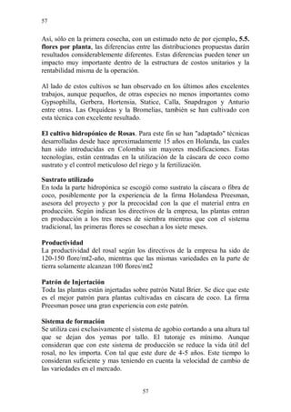 57


Así, sólo en la primera cosecha, con un estimado neto de por ejemplo, 5.5.
flores por planta, las diferencias entre las distribuciones propuestas darán
resultados considerablemente diferentes. Estas diferencias pueden tener un
impacto muy importante dentro de la estructura de costos unitarios y la
rentabilidad misma de la operación.

Al lado de estos cultivos se han observado en los últimos años excelentes
trabajos, aunque pequeños, de otras especies no menos importantes como
Gypsophilla, Gerbera, Hortensia, Statice, Calla, Snapdragon y Anturio
entre otras. Las Orquídeas y la Bromelias, también se han cultivado con
esta técnica con excelente resultado.

El cultivo hidropónico de Rosas. Para este fin se han "adaptado" técnicas
desarrolladas desde hace aproximadamente 15 años en Holanda, las cuales
han sido introducidas en Colombia sin mayores modificaciones. Estas
tecnologías, están centradas en la utilización de la cáscara de coco como
sustrato y el control meticuloso del riego y la fertilización.

Sustrato utilizado
En toda la parte hidropónica se escogió como sustrato la cáscara o fibra de
coco, posiblemente por la experiencia de la firma Holandesa Preesman,
asesora del proyecto y por la precocidad con la que el material entra en
producción. Según indican los directivos de la empresa, las plantas entran
en producción a los tres meses de siembra mientras que con el sistema
tradicional, las primeras flores se cosechan a los siete meses.

Productividad
La productividad del rosal según los directivos de la empresa ha sido de
120-150 flore/mt2-año, mientras que las mismas variedades en la parte de
tierra solamente alcanzan 100 flores/mt2

Patrón de Injertación
Toda las plantas están injertadas sobre patrón Natal Brier. Se dice que este
es el mejor patrón para plantas cultivadas en cáscara de coco. La firma
Preesman posee una gran experiencia con este patrón.

Sistema de formación
Se utiliza casi exclusivamente el sistema de agobio cortando a una altura tal
que se dejan dos yemas por tallo. El tutoraje es mínimo. Aunque
consideran que con este sistema de producción se reduce la vida útil del
rosal, no les importa. Con tal que este dure de 4-5 años. Este tiempo lo
consideran suficiente y mas teniendo en cuenta la velocidad de cambio de
las variedades en el mercado.


                                     57
 
