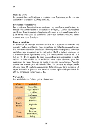 58



Mano de Obra
La mano de Obra utilizada por la empresa es de 5 personas por ha con una
densidad de siembra de 60.000 plantas/ha.

Problemas Fitosanitarios
Los problemas fitosanitarios son mínimos. Hay muy buena ventilación y se
reduce considerablemente la incidencia de Botrytis, . Cuando se presentan
problemas de enfermedades, las plantas afectadas se retiran del invernadero
y se llevan a una zona de cuarentena donde son tratadas y una vez sanas
retornan a su lugar de origen.

Riego y Nutrición
La nutrición se controla mediante análisis de la solución de entrada, del
sustrato y del agua sobrante. Estos se realizan en Holanda quincenalmente.
Las recomendaciones se introducen a la computadora corrigiendo cualquier
desbalance que se presente en los nutrientes. El pH se trata de mantener en
5.5 (nótese que es ligeramente ácido) y la conductividad eléctrica de 1.5 a
1.8 ms (3/4 F). El equipo de riego es completamente automático y puede
utilizar la información de la radiación solar como elemento para las
decisiones de riego. También se puede programar manualmente. Además
cuenta con alarmas para el caso de fallos. La cantidad de riegos puede
alcanzar hasta 15 en el día, dependiendo de la intensidad de la radiación. El
mejor resultado al parecer han obtenido cuando aplican riegos cortos de
200 ml por matera varias veces al día.

Variedades
Las Variedades de Colores que se ofrecen son:

  Color           Variedad
 Bicolores       Rising Sun
                Royal Renate
                  Leonidas
                 Ambience
     Crema         Renate
                  Timeless
     Rosado
                  Raphaela
     Fuerte
                  Saigon
                  Emerald
     Verde
                (Perfumada)
     Limón         Fristy


                                     58
 