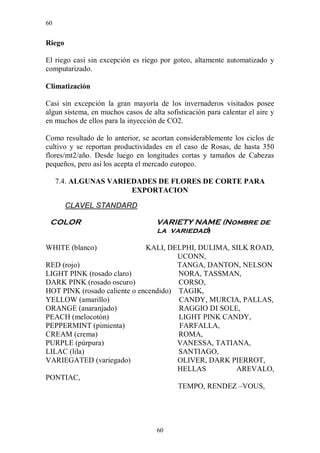 60


Riego

El riego casi sin excepción es riego por goteo, altamente automatizado y
computarizado.

Climatización

Casi sin excepción la gran mayoría de los invernaderos visitados posee
algun sistema, en muchos casos de alta sofisticación para calentar el aire y
en muchos de ellos para la inyección de CO2.

Como resultado de lo anterior, se acortan considerablemente los ciclos de
cultivo y se reportan productividades en el caso de Rosas, de hasta 350
flores/mt2/año. Desde luego en longitudes cortas y tamaños de Cabezas
pequeños, pero así los acepta el mercado europeo.

     7.4. ALGUNAS VARIEDADES DE FLORES DE CORTE PARA
                       EXPORTACION

        CLAVEL STANDARD

 COLOR                              VARIETY NAME (Nombre de
                                    la variedad)

WHITE (blanco)                KALI, DELPHI, DULIMA, SILK ROAD,
                                       UCONN,
RED (rojo)                             TANGA, DANTON, NELSON
LIGHT PINK (rosado claro)              NORA, TASSMAN,
DARK PINK (rosado oscuro)              CORSO,
HOT PINK (rosado caliente o encendido) TAGIK,
YELLOW (amarillo)                      CANDY, MURCIA, PALLAS,
ORANGE (anaranjado)                    RAGGIO DI SOLE,
PEACH (melocotón)                      LIGHT PINK CANDY,
PEPPERMINT (pimienta)                  FARFALLA,
CREAM (crema)                          ROMA,
PURPLE (púrpura)                       VANESSA, TATIANA,
LILAC (lila)                           SANTIAGO,
VARIEGATED (variegado)                 OLIVER, DARK PIERROT,
                                       HELLAS        AREVALO,
PONTIAC,
                                       TEMPO, RENDEZ –VOUS,




                                    60
 