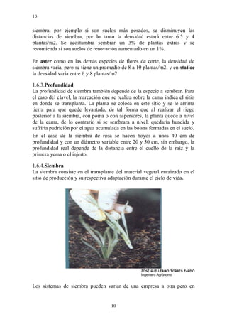 10


siembra; por ejemplo si son suelos más pesados, se disminuyen las
distancias de siembra, por lo tanto la densidad estará entre 6.5 y 4
plantas/m2. Se acostumbra sembrar un 3% de plantas extras y se
recomienda si son suelos de renovación aumentarlo en un 1%.

En aster como en las demás especies de flores de corte, la densidad de
siembra varia, pero se tiene un promedio de 8 a 10 plantas/m2; y en statice
la densidad varía entre 6 y 8 plantas/m2.

1.6.3.Profundidad
La profundidad de siembra también depende de la especie a sembrar. Para
el caso del clavel, la marcación que se realiza sobre la cama indica el sitio
en donde se transplanta. La planta se coloca en este sitio y se le arrima
tierra para que quede levantada, de tal forma que al realizar el riego
posterior a la siembra, con poma o con aspersores, la planta quede a nivel
de la cama, de lo contrario si se sembrara a nivel, quedaría hundida y
sufriría pudrición por el agua acumulada en las bolsas formadas en el suelo.
En el caso de la siembra de rosa se hacen hoyos a unos 40 cm de
profundidad y con un diámetro variable entre 20 y 30 cm, sin embargo, la
profundidad real depende de la distancia entre el cuello de la raíz y la
primera yema o el injerto.

1.6.4.Siembra
La siembra consiste en el transplante del material vegetal enraizado en el
sitio de producción y su respectiva adaptación durante el ciclo de vida.




                                                   JOSÉ GUILLERMO TORRES PARDO
                                                   Ingeniero Agrónomo


Los sistemas de siembra pueden variar de una empresa a otra pero en


                                     10
 