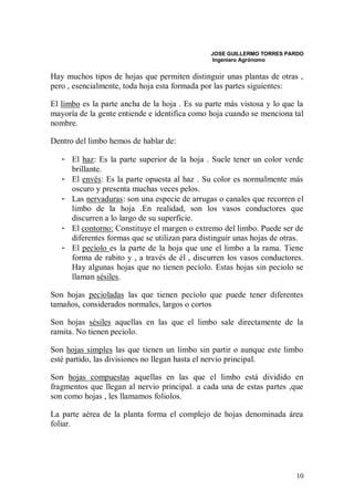 JOSE GUILLERMO TORRES PARDO
                                               Ingeniero Agrónomo


Hay muchos tipos de hojas que permiten distinguir unas plantas de otras ,
pero , esencialmente, toda hoja esta formada por las partes siguientes:

El limbo es la parte ancha de la hoja . Es su parte más vistosa y lo que la
mayoría de la gente entiende e identifica como hoja cuando se menciona tal
nombre.

Dentro del limbo hemos de hablar de:

   - El haz: Es la parte superior de la hoja . Suele tener un color verde
     brillante.
   - El envés: Es la parte opuesta al haz . Su color es normalmente más
     oscuro y presenta muchas veces pelos.
   - Las nervaduras: son una especie de arrugas o canales que recorren el
     limbo de la hoja .En realidad, son los vasos conductores que
     discurren a lo largo de su superficie.
   - El contorno: Constituye el margen o extremo del limbo. Puede ser de
     diferentes formas que se utilizan para distinguir unas hojas de otras.
   - El pecíolo es la parte de la hoja que une el limbo a la rama. Tiene
     forma de rabito y , a través de él , discurren los vasos conductores.
     Hay algunas hojas que no tienen pecíolo. Estas hojas sin peciolo se
     llaman sésiles.

Son hojas pecioladas las que tienen pecíolo que puede tener diferentes
tamaños, considerados normales, largos o cortos

Son hojas sésiles aquellas en las que el limbo sale directamente de la
ramita. No tienen peciolo.

Son hojas simples las que tienen un limbo sin partir o aunque este limbo
esté partido, las divisiones no llegan hasta el nervio principal.

Son hojas compuestas aquellas en las que el limbo está dividido en
fragmentos que llegan al nervio principal. a cada una de estas partes ,que
son como hojas , les llamamos foliolos.

La parte aérea de la planta forma el complejo de hojas denominada área
foliar.




                                                                        10
 