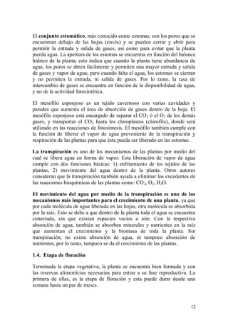El conjunto estomático, más conocido como estomas, son los poros que se
encuentran debajo de las hojas (envés) y se pueden cerrar y abrir para
permitir la entrada y salida de gases, así como para evitar que la planta
pierda agua. La apertura de los estomas se encuentra en función del balance
hídrico de la planta; esto indica que cuando la planta tiene abundancia de
agua, los poros se abren fácilmente y permiten una mayor entrada y salida
de gases y vapor de agua; pero cuando falta el agua, los estomas se cierran
y no permiten la entrada, ni salida de gases. Por lo tanto, la tasa de
intercambio de gases se encuentra en función de la disponibilidad de agua,
y no de la actividad fotosintética.

El mesófilo esponjoso es un tejido cavernoso con varias cavidades y
paredes que aumenta el área de absorción de gases dentro de la hoja. El
mesófilo esponjoso está encargado de separar el CO 2 ó el O2 de los demás
gases, y transportar el CO2 hasta los cloroplastos (clorofila), donde será
utilizado en las reacciones de fotosíntesis. El mesófilo también cumple con
la función de liberar el vapor de agua proveniente de la transpiración y
respiración de las plantas para que éste pueda ser liberado en las estomas.

La transpiración es uno de los mecanismos de las plantas por medio del
cual se libera agua en forma de vapor. Esta liberación de vapor de agua
cumple con dos funciones básicas: 1) enfriamiento de los tejidos de las
plantas, 2) movimiento del agua dentro de la planta. Otros autores
consideran que la transpiración también ayuda a eliminar los excedentes de
las reacciones bioquímicas de las plantas como: CO 2, O2, H2O.

El movimiento del agua por medio de la transpiración es uno de los
mecanismos más importantes para el crecimiento de una planta, ya que
por cada molécula de agua liberada en las hojas, otra molécula es absorbida
por la raíz. Esto se debe a que dentro de la planta toda el agua se encuentra
conectada, sin que existan espacios vacíos o aire. Con la respectiva
absorción de agua, también se absorben minerales y nutrientes en la raíz
que aumentan el crecimiento y la biomasa de toda la planta. Sin
transpiración, no existe absorción de agua, ni tampoco absorción de
nutrientes, por lo tanto, tampoco se da el crecimiento de las plantas.

1.4. Etapa de floración

Terminada la etapa vegetativa, la planta se encuentra bien formada y con
las reservas alimenticias necesarias para entrar a su fase reproductiva. La
primera de ellas, es la etapa de floración y esta puede durar desde una
semana hasta un par de meses.



                                                                          12
 
