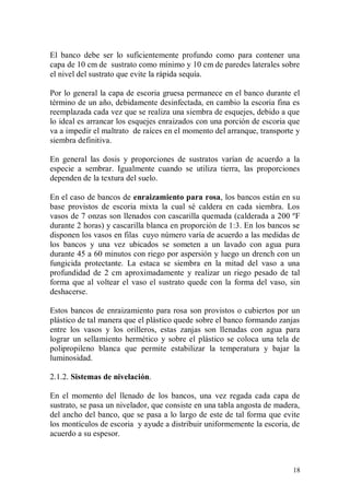 El banco debe ser lo suficientemente profundo como para contener una
capa de 10 cm de sustrato como mínimo y 10 cm de paredes laterales sobre
el nivel del sustrato que evite la rápida sequía.

Por lo general la capa de escoria gruesa permanece en el banco durante el
término de un año, debidamente desinfectada, en cambio la escoria fina es
reemplazada cada vez que se realiza una siembra de esquejes, debido a que
lo ideal es arrancar los esquejes enraizados con una porción de escoria que
va a impedir el maltrato de raíces en el momento del arranque, transporte y
siembra definitiva.

En general las dosis y proporciones de sustratos varían de acuerdo a la
especie a sembrar. Igualmente cuando se utiliza tierra, las proporciones
dependen de la textura del suelo.

En el caso de bancos de enraizamiento para rosa, los bancos están en su
base provistos de escoria mixta la cual sé caldera en cada siembra. Los
vasos de 7 onzas son llenados con cascarilla quemada (calderada a 200 ºF
durante 2 horas) y cascarilla blanca en proporción de 1:3. En los bancos se
disponen los vasos en filas cuyo número varía de acuerdo a las medidas de
los bancos y una vez ubicados se someten a un lavado con agua pura
durante 45 a 60 minutos con riego por aspersión y luego un drench con un
fungicida protectante. La estaca se siembra en la mitad del vaso a una
profundidad de 2 cm aproximadamente y realizar un riego pesado de tal
forma que al voltear el vaso el sustrato quede con la forma del vaso, sin
deshacerse.

Estos bancos de enraizamiento para rosa son provistos o cubiertos por un
plástico de tal manera que el plástico quede sobre el banco formando zanjas
entre los vasos y los orilleros, estas zanjas son llenadas con agua para
lograr un sellamiento hermético y sobre el plástico se coloca una tela de
polipropileno blanca que permite estabilizar la temperatura y bajar la
luminosidad.

2.1.2. Sistemas de nivelación.

En el momento del llenado de los bancos, una vez regada cada capa de
sustrato, se pasa un nivelador, que consiste en una tabla angosta de madera,
del ancho del banco, que se pasa a lo largo de este de tal forma que evite
los montículos de escoria y ayude a distribuir uniformemente la escoria, de
acuerdo a su espesor.



                                                                         18
 