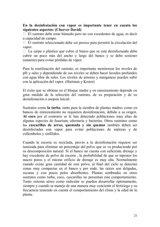 En la desinfestación con vapor es importante tener en cuenta los
siguientes aspectos: (Cheever David)

a capacidad de campo.
              seleccionado debe ser poroso para permitir la circulación del
vapor.

cubrir un poco más del ancho y largo del banco y se debe sostener
(amarrar) para evitar pérdidas de vapor.

Para la reutilización del sustrato, es importante monitorear los niveles de
pH y sales y dependiendo de sus niveles se deben hacer lavados profundos
con agua libre de sales. Los niveles de amonio y manganeso pueden subir
con la aplicación del vapor. (Hartman y Kester)

El éxito que se obtiene en el bloque madre y en enraizamiento depende en
gran medida de la selección del sustrato, de su preparación y de su
desinfestación o asepsia inicial.

Sustratos como la turba, tanto para la siembra de plantas madres como en
bancos de enraizamiento no requieren desinfestación, debido a su origen.
Al coco por el contrario se le han detectado poblaciones muy altas de
algunas especies de fusarium, alternaria y bacterias. Otros sustratos como
las cascarillas de arroz, quemada y sin quemar también deben ser
desinfectadas con vapor para evitar poblaciones de malezas y de
collembolos y sinfílidos.

Cuando la escoria es reciclada, previo a la desinfestación requiere ser
tamizada para eliminar un porcentaje del polvo que se va produciendo por
su descomposición natural. Si el banco no cuenta con suficiente drenaje y
hay excedente de polvo de escoria , la probabilidad de que se taponen los
macro poros y el mismo orificio de drenaje es muy alta. Normalmente
cuando existe gran cantidad de este polvo, al final del ciclo se detectan
zonas muy compactas en el banco y por ende, las raíces son delgadas,
oscuras y con pocos pelos absorbentes. Plantas sembradas en otros
sustratos como turba, coco, cascarillas no presentan este comportamiento.
Tanto sistema aéreo como radicular se pueden desarrollar óptimamente,
siempre y cuando se maneje de una manera muy conciente el fertiriego y su
frecuencia teniendo en cuenta el comportamiento del clima y la edad de la
planta.




                                                                         21
 