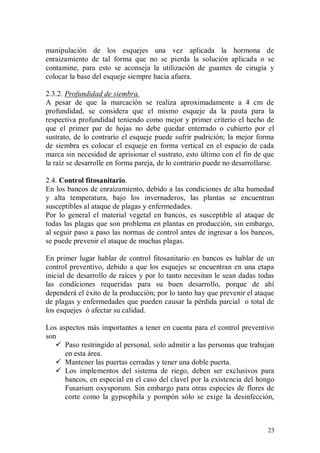 manipulación de los esquejes una vez aplicada la hormona de
enraizamiento de tal forma que no se pierda la solución aplicada o se
contamine, para esto se aconseja la utilización de guantes de cirugía y
colocar la base del esqueje siempre hacia afuera.

2.3.2. Profundidad de siembra.
A pesar de que la marcación se realiza aproximadamente a 4 cm de
profundidad, se considera que el mismo esqueje da la pauta para la
respectiva profundidad teniendo como mejor y primer criterio el hecho de
que el primer par de hojas no debe quedar enterrado o cubierto por el
sustrato, de lo contrario el esqueje puede sufrir pudrición; la mejor forma
de siembra es colocar el esqueje en forma vertical en el espacio de cada
marca sin necesidad de aprisionar el sustrato, esto último con el fin de que
la raíz se desarrolle en forma pareja, de lo contrario puede no desarrollarse.

2.4. Control fitosanitario.
En los bancos de enraizamiento, debido a las condiciones de alta humedad
y alta temperatura, bajo los invernaderos, las plantas se encuentran
susceptibles al ataque de plagas y enfermedades.
Por lo general el material vegetal en bancos, es susceptible al ataque de
todas las plagas que son problema en plantas en producción, sin embargo,
al seguir paso a paso las normas de control antes de ingresar a los bancos,
se puede prevenir el ataque de muchas plagas.

En primer lugar hablar de control fitosanitario en bancos es hablar de un
control preventivo, debido a que los esquejes se encuentran en una etapa
inicial de desarrollo de raíces y por lo tanto necesitan le sean dadas todas
las condiciones requeridas para su buen desarrollo, porque de ahí
dependerá el éxito de la producción; por lo tanto hay que prevenir el ataque
de plagas y enfermedades que pueden causar la pérdida parcial o total de
los esquejes ó afectar su calidad.

Los aspectos más importantes a tener en cuenta para el control preventivo
son
    Paso restringido al personal, solo admitir a las personas que trabajan
      en esta área.
    Mantener las puertas cerradas y tener una doble puerta.
    Los implementos del sistema de riego, deben ser exclusivos para
      bancos, en especial en el caso del clavel por la existencia del hongo
      Fusarium oxysporum. Sin embargo para otras especies de flores de
      corte como la gypsophila y pompón sólo se exige la desinfección,



                                                                           23
 