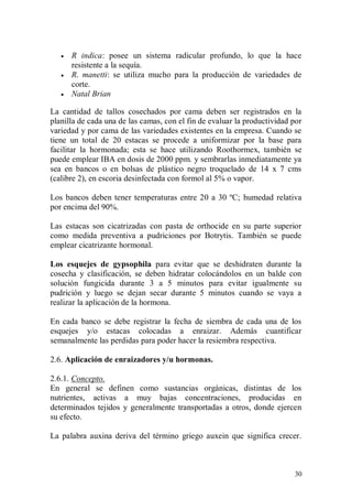    R indica: posee un sistema radicular profundo, lo que la hace
       resistente a la sequía.
      R. manetti: se utiliza mucho para la producción de variedades de
       corte.
      Natal Brian

La cantidad de tallos cosechados por cama deben ser registrados en la
planilla de cada una de las camas, con el fin de evaluar la productividad por
variedad y por cama de las variedades existentes en la empresa. Cuando se
tiene un total de 20 estacas se procede a uniformizar por la base para
facilitar la hormonada; esta se hace utilizando Roothormex, también se
puede emplear IBA en dosis de 2000 ppm. y sembrarlas inmediatamente ya
sea en bancos o en bolsas de plástico negro troquelado de 14 x 7 cms
(calibre 2), en escoria desinfectada con formol al 5% o vapor.

Los bancos deben tener temperaturas entre 20 a 30 ºC; humedad relativa
por encima del 90%.

Las estacas son cicatrizadas con pasta de orthocide en su parte superior
como medida preventiva a pudriciones por Botrytis. También se puede
emplear cicatrizante hormonal.

Los esquejes de gypsophila para evitar que se deshidraten durante la
cosecha y clasificación, se deben hidratar colocándolos en un balde con
solución fungicida durante 3 a 5 minutos para evitar igualmente su
pudrición y luego se dejan secar durante 5 minutos cuando se vaya a
realizar la aplicación de la hormona.

En cada banco se debe registrar la fecha de siembra de cada una de los
esquejes y/o estacas colocadas a enraizar. Además cuantificar
semanalmente las perdidas para poder hacer la resiembra respectiva.

2.6. Aplicación de enraizadores y/u hormonas.

2.6.1. Concepto.
En general se definen como sustancias orgánicas, distintas de los
nutrientes, activas a muy bajas concentraciones, producidas en
determinados tejidos y generalmente transportadas a otros, donde ejercen
su efecto.

La palabra auxina deriva del término griego auxein que significa crecer.



                                                                          30
 
