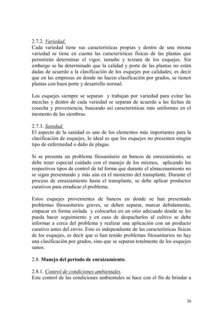 2.7.2. Variedad.
Cada variedad tiene sus características propias y dentro de una misma
variedad se tiene en cuenta las características físicas de las plantas que
permitirán determinar el vigor, tamaño y textura de los esquejes. Sin
embargo se ha determinado que la calidad y porte de las plantas no están
dadas de acuerdo a la clasificación de los esquejes por calidades; es decir
que en las empresas en donde no hacen clasificación por grados, se tienen
plantas con buen porte y desarrollo normal.

Los esquejes siempre se separan y trabajan por variedad para evitar las
mezclas y dentro de cada variedad se separan de acuerdo a las fechas de
cosecha y proveniencia, buscando así características más uniformes en el
momento de las siembras.

2.7.3. Sanidad.
El aspecto de la sanidad es uno de los elementos más importantes para la
clasificación de esquejes, lo ideal es que los esquejes no presenten ningún
tipo de enfermedad o daño de plagas.

Si se presenta un problema fitosanitario en bancos de enraizamiento, se
debe tener especial cuidado con el manejo de los mismos, aplicando los
respectivos tipos de control de tal forma que durante el almacenamiento no
se sigan presentando y más aún en el momento del transplante. Durante el
proceso de enraizamiento hasta el transplante, se debe aplicar productos
curativos para erradicar el problema.

Estos esquejes provenientes de bancos en donde se han presentado
problemas fitosanitarios graves, se deben separar, marcar debidamente,
empacar en forma aislada y colocarlos en un sitio adecuado donde se les
pueda hacer seguimiento y en caso de despacharlos al cultivo se debe
informar a cerca del problema y realizar una aplicación con un producto
curativo antes del envío. Esto es independiente de las características físicas
de los esquejes, es decir que si han tenido problemas fitosanitarios no hay
una clasificación por grados, sino que se separan totalmente de los esquejes
sanos.

2.8. Manejo del periodo de enraizamiento.

2.8.1. Control de condiciones ambientales.
Este control de las condiciones ambientales se hace con el fin de brindar a



                                                                           36
 