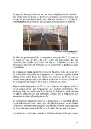 los esquejes los requerimientos para un buen y rápido desarrollo de raíces.
Las condiciones climáticas de los bancos destinados al enraizamiento del
material de propagación asexual, están enfocadas a minimizar la pérdida de
humedad relativa del ambiente para evitar la deshidratación del material.




                                                JOSE GUILLERMO TORRES PARDO
                                                              Ingeniero Agrónomo


Lo ideal, es que durante el día la temperatura no exceda los 27 ºC y que en
la noche no baje de 10ºC. Se debe evitar una temperatura del aire
demasiado alta, debido a que tiende a estimular el desarrollo de yemas con
anticipación al desarrollo de las raíces, y a incrementar la pérdida de agua
por las hojas.

La temperatura puede regular la producción de raíces. Sí no se cuenta con
las condiciones apropiadas de temperatura en el sustrato se puede aplicar
artificialmente calor debajo del banco, para mantener en la base de las
estacas una temperatura superior a la que se tiene en las yemas, induciendo
así la iniciación de las raíces antes que se estimulen las yemas.

Temperaturas homogéneas de 21 º C en la base de los esquejes produce
mejor enraizamiento que temperaturas que fluctúan ampliamente. Sin
Embargo, bajo las condiciones de la Sabana de Bogotá, se puede obtener
un óptimo enraizamiento con diferentes sustratos así la temperatura del
sustrato no sea homogénea durante el día.

Es indispensable el registro diario de la temperatura y la humedad relativa
dentro del invernadero en donde están ubicados los bancos, por medio del
instrumento llamado hidrotermógrafo que permite registrar en una etiqueta
las dos mediciones, durante las 24 horas del día y durante toda la semana.

Así mismo las condiciones cualitativas del clima durante el día, determinan



                                                                             37
 