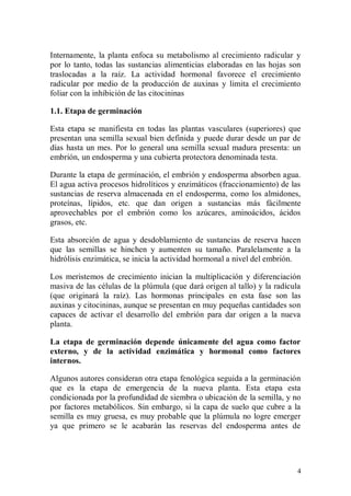 Internamente, la planta enfoca su metabolismo al crecimiento radicular y
por lo tanto, todas las sustancias alimenticias elaboradas en las hojas son
traslocadas a la raíz. La actividad hormonal favorece el crecimiento
radicular por medio de la producción de auxinas y limita el crecimiento
foliar con la inhibición de las citocininas

1.1. Etapa de germinación

Esta etapa se manifiesta en todas las plantas vasculares (superiores) que
presentan una semilla sexual bien definida y puede durar desde un par de
días hasta un mes. Por lo general una semilla sexual madura presenta: un
embrión, un endosperma y una cubierta protectora denominada testa.

Durante la etapa de germinación, el embrión y endosperma absorben agua.
El agua activa procesos hidrolíticos y enzimáticos (fraccionamiento) de las
sustancias de reserva almacenada en el endosperma, como los almidones,
proteínas, lípidos, etc. que dan origen a sustancias más fácilmente
aprovechables por el embrión como los azúcares, aminoácidos, ácidos
grasos, etc.

Esta absorción de agua y desdoblamiento de sustancias de reserva hacen
que las semillas se hinchen y aumenten su tamaño. Paralelamente a la
hidrólisis enzimática, se inicia la actividad hormonal a nivel del embrión.

Los meristemos de crecimiento inician la multiplicación y diferenciación
masiva de las células de la plúmula (que dará origen al tallo) y la radícula
(que originará la raíz). Las hormonas principales en esta fase son las
auxinas y citocininas, aunque se presentan en muy pequeñas cantidades son
capaces de activar el desarrollo del embrión para dar origen a la nueva
planta.

La etapa de germinación depende únicamente del agua como factor
externo, y de la actividad enzimática y hormonal como factores
internos.

Algunos autores consideran otra etapa fenológica seguida a la germinación
que es la etapa de emergencia de la nueva planta. Esta etapa esta
condicionada por la profundidad de siembra o ubicación de la semilla, y no
por factores metabólicos. Sin embargo, si la capa de suelo que cubre a la
semilla es muy gruesa, es muy probable que la plúmula no logre emerger
ya que primero se le acabarán las reservas del endosperma antes de




                                                                           4
 