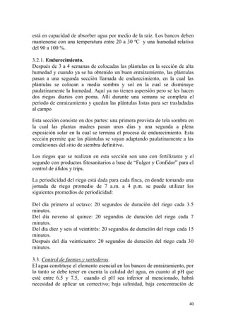 está en capacidad de absorber agua por medio de la raíz. Los bancos deben
mantenerse con una temperatura entre 20 a 30 ºC y una humedad relativa
del 90 a 100 %.

3.2.1. Endurecimiento.
Después de 3 a 4 semanas de colocadas las plántulas en la sección de alta
humedad y cuando ya se ha obtenido un buen enraizamiento, las plántulas
pasan a una segunda sección llamada de endurecimiento, en la cual las
plántulas se colocan a media sombra y sol en la cual se disminuye
paulatinamente la humedad. Aquí ya no tienen aspersión pero se les hacen
dos riegos diarios con poma. Allí durante una semana se completa el
período de enraizamiento y quedan las plántulas listas para ser trasladadas
al campo

Esta sección consiste en dos partes: una primera provista de tela sombra en
la cual las plantas madres pasan unos días y una segunda a plena
exposición solar en la cual se termina el proceso de endurecimiento. Esta
sección permite que las plántulas se vayan adaptando paulatinamente a las
condiciones del sitio de siembra definitivo.

Los riegos que se realizan en esta sección son uno con fertilizante y el
segundo con productos fitosanitarios a base de “Fulgor y Confidor” para el
control de áfidos y trips.

La periodicidad del riego está dada para cada finca, en donde tomando una
jornada de riego promedio de 7 a.m. a 4 p.m. se puede utilizar los
siguientes promedios de periodicidad:

Del día primero al octavo: 20 segundos de duración del riego cada 3.5
minutos.
Del día noveno al quince: 20 segundos de duración del riego cada 7
minutos.
Del día diez y seis al veintitrés: 20 segundos de duración del riego cada 15
minutos.
Después del día veinticuatro: 20 segundos de duración del riego cada 30
minutos.

3.3. Control de fuentes y vertederos.
El agua constituye el elemento esencial en los bancos de enraizamiento, por
lo tanto se debe tener en cuenta la calidad del agua, en cuanto al pH que
esté entre 6.5 y 7.5, cuando el pH sea inferior al mencionado, habrá
necesidad de aplicar un correctivo; baja salinidad, baja concentración de


                                                                         40
 
