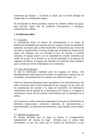 nurtrientes que lleguen a la fuente, es decir, que no reciba drenajes de
ningún tipo, ni contaminante alguno.

Se recomienda en forma periódica realizar los debidos análisis de aguas,
para prevenir algún tipo de problema fisicoquímico o biológico,
contaminación y demás.

4. Fertilización foliar.

4.1. Concepto.
La fertilización foliar en bancos de enraizamiento es la forma de
fertilización apropiada que aseguran que los esquejes reciben la cantidad de
nutrientes necesarios para su buen desarrollo; es importante que a través de
las hojas se puedan nutrir, al mismo tiempo que se produce la formación de
raíces, sin embargo, una vez formada la raíz, de acuerdo al sustrato
utilizado, el esqueje estará o no en capacidad de asimilar nutrientes por
medio de la raíz. Si el sustrato es la escoria (utilizada en la mayoría de
empresas de flores), el esqueje está limitado a la nutrición foliar, debido a
que la escoria no retiene la humedad, ni los nutrientes.

4.2. Clase de fertilizantes.
El tipo de fertilizante empleado para los esquejes en bancos, está
determinado por cada empresa de acuerdo a la experiencia, ensayos con las
variedades, recomendaciones de acuerdo a los análisis de aguas, etc.

Tanto los elementos primarios como secundarios y los microelementos, son
todos necesarios para el buen desarrollo de los esquejes, lo que varía son
las proporciones de acuerdo a la etapa del desarrollo; las deficiencias
nutricionales por lo general no se presentan en los bancos y si llegaran a
manifestarse serían con las mismas características que las presentes en el
cultivo.

En el comercio existen soluciones preparadas de mezclas de fertilizantes en
diferentes proporciones, soluciones especiales de micronutrientes y
macronutrientes, en diferentes presentaciones, tanto líquidos como sólidas,
etc.

4.3. Métodos de aplicación.
El sistema utilizado para el riego en bancos es completamente
independiente del sistema de riego utilizado para el cultivo bajo
invernadero; es por esta razón que el sistema de fertilización es por



                                                                          41
 