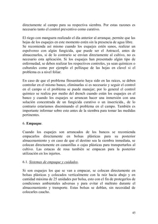 directamente al campo para su respectiva siembra. Por estas razones es
necesario tanto el control preventivo como curativo.

El riego con manguera realizado el día anterior al arranque, permite que las
hojas de los esquejes en este momento estén sin la presencia de agua libre.
Se recomienda así mismo cuando los esquejes estén sanos, realizar un
espolvoreo con algún fungicida, que puede ser el Antracol, antes de
almacenarlos, si de lo contrario se envían directamente al cultivo, no es
necesario esta aplicación. Si los esquejes han presentado algún tipo de
enfermedad, se deben realizar los respectivos controles, ya sean químicos o
culturales como por ejemplo el pellizque de las hojas en clavel si el
problema es a nivel foliar.

En caso de que el problema fitosanitario haya sido en las raíces, se deben
controlar en el mismo banco, eliminarlas si es necesario y seguir el control
en el campo si el problema se puede manejar; por lo general el control
químico se realiza por medio del drench cuando están los esquejes en el
banco y cuando los esquejes se arrancan hacer una inmersión con una
solución concentrada de un fungicida curativo o un insecticida., de lo
contrario estaríamos diseminando el problema en el campo. También es
importante informar sobre esto antes de la siembra para tomar las medidas
pertinentes.

6. Empaque.

Cuando los esquejes son arrancados de los bancos se recomienda
empacarlos directamente en bolsas plásticas para su posterior
almacenamiento y en caso de que el destino sea la siembra inmediata, se
colocan directamente en canastillas o cajas plásticas para transportarlos al
cultivo. Las estacas de rosa también se empacan para la posterior
utilización en los injertos.

6.1. Sistemas de empaque y cuidados.

Si son esquejes los que se van a empacar, se colocan directamente en
bolsas plásticas y colocados verticalmente con la raíz hacia abajo y en
cantidad máxima de 25 unidades por bolsa, esto con el fin de protegerlos de
condiciones ambientales adversas y para evitar el maltrato durante el
almacenamiento y transporte. Estas bolsas se doblan, sin necesidad de
colocarles caucho.




                                                                         45
 