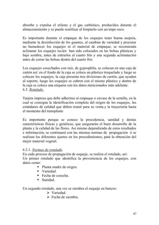 absorbe y expulsa el etileno y el gas carbónico, producidos durante el
almacenamiento y se puede reutilizar al limpiarlo con un trapo seco.

Es importante durante el empaque de los esquejes tener buena asepsia,
mediante la desinfección de los guantes, al cambiar de variedad y procurar
no humedecer los esquejes ni el material de empaque; se recomienda
aclimatar los esquejes recién han sido colocados en las bolsas plásticas y
bajo sombra, antes de entrarlos al cuarto frío y una segunda aclimatación
antes de cerrar las bolsas dentro del cuarto frío.

Los esquejes cosechados con raíz, de gypsophila, se colocan en una caja de
cartón así: en el fondo de la caja se coloca un plástico troquelado y luego se
colocan los esquejes, la caja presenta tres divisiones de cartón, que ayudan
al soporte, luego los esquejes se cubren con el mismo plástico y dentro de
la caja se coloca una etiqueta con los datos mencionados más adelante.
6.2. Rotulado.

Tarjeta impresa que debe adherirse al empaque o envase de la semilla, en la
cual se consigna la identificación completa del origen de los esquejes, los
estándares de calidad que deben reunir para su venta.y la trayectoria hasta
el momento del transplante

Es importante porque se conoce la procedencia, sanidad y demás
características físicas y genéticas, que asegurarán el buen desarrollo de la
planta y la calidad de las flores. Así mismo dependiendo de estos resultados
e información, se continuará con las mismas normas de propagación ó se
realizan los diferentes ajustes en los procedimientos, para la obtención del
mejor material vegetal.

6.2.1. Normas de rotulado.
En cada proceso de propagación de esqueje, se realiza el rotulado, así:
Un primer rotulado que identifica la proveniencia de los esquejes, con
datos como:
          Planta madre de origen.
          Variedad.
          Fecha de cosecha.
          Sanidad.

Un segundo rotulado, una vez se siembra el esqueje en bancos:
                Variedad.
                Fecha de siembra.



                                                                           47
 