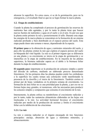 alcanzar la superficie. En estos casos, si se da la germinación, pero no la
emergencia, y el resultado final es que no se logra formar la nueva planta.

1.2. Etapa de establecimiento

Cuando la planta ha completado el proceso de germinación las reservas de
nutrientes han sido agotadas, y por lo tanto la planta tiene que buscar
nuevas fuentes de nutrientes y agua en el suelo y en el aire. Es por eso que
la planta emite primero la raíz y posteriormente el tallo. Durante esta etapa
las energías de la nueva planta se concentran en la formación de un sistema
radicular profundo y bien distribuido en el espacio poroso del suelo. Esta
etapa puede durar una semana o meses, dependiendo de la especie.

El primer paso es la obtención de agua y nutrientes minerales del suelo, y
para ello las plantas emiten la raíz que explora el espacio poroso del suelo
en búsqueda del vital liquido. La raíz es el primer órgano que se diferencia
en una planta y su crecimiento se inicia en la etapa de germinación y se
intensifica en la etapa de establecimiento. En la mayoría de las plantas
superiores, la biomasa radicular supera en el doble a la biomasa foliar
durante la etapa de establecimiento.

El segundo paso importante es la producción de azúcares simples a partir
del dióxido de carbono, mediante un elaborado proceso denominado
fotosíntesis. En los primeros días las plantas pueden emitir los cotiledones
a la superficie los cuales toman una coloración verde manifestando la
presencia de la clorofila y el inicio de la fotosíntesis. También emiten el
primer par de hojas verdaderas en la primera semana de crecimiento. La
formación de área foliar no es una prioridad para la planta, y por eso no se
forman hojas muy grandes, ni numerosas, sólo las necesarias para producir
los azúcares simples y compuestos que consume el crecimiento de la raíz.

Internamente, la planta enfoca su metabolismo al crecimiento radicular y
por lo tanto, todas las sustancias alimenticias elaboradas en las hojas son
traslocadas a la raíz. La actividad hormonal favorece el crecimiento
radicular por medio de la producción de auxinas y limita el crecimiento
foliar con la inhibición de las citocininas

1.2.1. La raíz

La raíz o sistema radicular es el órgano encargado de tres funciones
principales: anclaje, absorción de agua y nutrientes minerales, y
almacenamiento.



                                                                           5
 