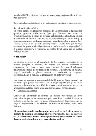 tratado a 100 ºC , mientras que los químicos pueden dejar residuos tóxicos
para el cultivo.

Su principal desventaja frente a los tratamientos químicos es su alto costo.

8.4. Desinfección química.
En forma general los productos utilizados en Colombia para la desinfección
química, generan isotiocianatos (gas que destruye toda clase de
organismos, debido a que es un derivado del cianuro) en el suelo, se aplican
directamente en el suelo una vez se encuentre en capacidad de campo y
penetran tanto como sea la penetración del agua. La siembra se retrasa 3 a 4
semanas debido a que se debe cubrir primero el suelo para que no haya
escape de los gases producidos mientras el producto actúa y luego dejar 2 o
3 semanas descubierto y realizando un volteo de tal forma que no queden
residuos tóxicos.

9. SIEMBRA

La siembra consiste en el transplante de los esquejes enraizados de la
especie escogida al sustrato, de manera que puedan continuar el
crecimiento de raíces y hojas, para después de estar debidamente
desarrolladas iniciar la producción de esquejes. Generalmente el material
vegetal destinado a plantas madres, es producido por empresas
especializadas en el ramo de la propagación de material vegetal.

Las camas se levantan a una altura de 20 a 25 cms, en forma manual y de
tal forma que queden niveladas, con un riego seguido con poma hasta
alcanzar la humedad de capacidad de campo, posteriormente se marca con
un marcador metálico hecho a las medidas utilizadas por la empresa.
9.1. Densidad de siembra.

Consiste en determinar el número de plantas por unidad de área,
especialmente por metro cuadrado o por cama. Esta densidad depende de
factores como tipo de suelo, variedad, infraestructura de la empresa, tipo de
riego a implementar, si se siembra en bolsas o en bancos, entre otros
factores.

El procedimiento de siembra en plantas madres varía de acuerdo al
número de plantas a sembrar, numero de variedades, clase de sustrato,
etc. A continuación se describen algunos de los pasos a tener en cuenta
durante la siembra de esquejes para plantas madres:



                                                                           54
 