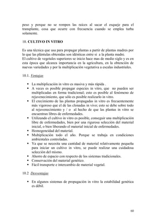 peso y porque no se rompen las raíces al sacar el esqueje para el
transplante, cosa que ocurre con frecuencia cuando se emplea turba
solamente.

10. CULTIVO IN VITRO

Es una técnica que usa para propagar plantas a partir de plantas madres por
lo que las plántulas obtenidas son idénticas entre si a la planta madre.
El cultivo de vegetales superiores se inicio hace mas de medio siglo y es en
esta época que alcanza importancia en la agricultura, en la obtención de
nuevas variedades y por la multiplicación vegetativa a escalas industriales.

10.1. Ventajas

    La multiplicación in vitro es masiva y más rápida .
    A veces es posible propagar especies in vitro, que no pueden ser
     multiplicadas en forma tradicional; esto es posible al fenómeno de
     rejuvenecimiento, que sólo es posible realizarlo in vitro.
    El crecimiento de las plantas propagadas in vitro es frecuentemente
     más vigoroso que el de las clonadas in vivo; esto se debe sobre todo
     al rejuvenecimiento y / o al hecho de que las plantas in vitro se
     encuentran libres de enfermedades.
    Utilizando el cultivo in vitro es posible, conseguir una multiplicación
     libre de enfermedades, bien por una rigurosa selección del material
     inicial, o bien liberando el material inicial de enfermedades.
    Homogeneidad del material.
    Multiplicación todo el año. Porque se trabaja en condiciones
     ambientales controladas.
    Ya que se necesita una cantidad de material relativamente pequeña
     para iniciar un cultivo in vitro, se puede realizar una cuidadosa
     selección del mismo.
    Ahorro de espacio con respecto de los sistemas tradicionales.
    Conservación del material genético.
    Fácil transporte e intercambio de material vegetal.

10.2 Desventajas

    En algunos sistemas de propagación in vitro la estabilidad genética
     es débil.




                                                                         60
 