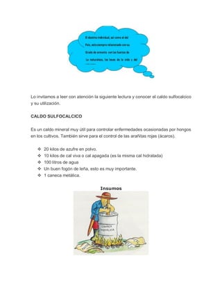 Lo invitamos a leer con atención la siguiente lectura y conocer el caldo sulfocalcico
y su utilización.

CALDO SULFOCALCICO


Es un caldo mineral muy útil para controlar enfermedades ocasionadas por hongos
en los cultivos. También sirve para el control de las arañitas rojas (ácaros).


    20 kilos de azufre en polvo.
      10 kilos de cal viva o cal apagada (es la misma cal hidratada)
      100 litros de agua
      Un buen fogón de leña, esto es muy importante.
      1 caneca metálica.


                                    Insumos
 