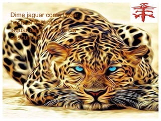Dime jaguar como llegar
hasta el final dime
jaguar como mirar en la
obscuridad.
 