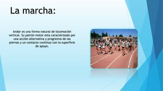 La marcha:
Andar es una forma natural de locomoción
vertical. Su patrón motor esta caracterizado por
una acción alternativa y progresiva de las
piernas y un contacto continuo con la superficie
de apoyo.
 