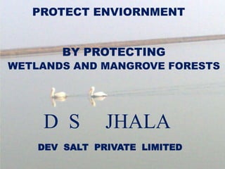 PROTECT ENVIORNMENT
BY PROTECTING
WETLANDS AND MANGROVE FORESTS
JHALAD S
DEV SALT PRIVATE LIMITED
 