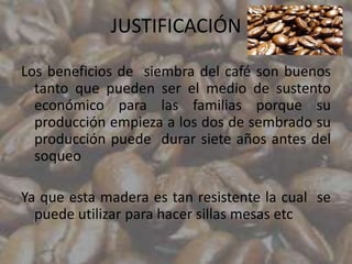 JUSTIFICACIÓN

Los beneficios de siembra del café son buenos
  tanto que pueden ser el medio de sustento
  económico para las familias porque su
  producción empieza a los dos de sembrado su
  producción puede durar siete años antes del
  soqueo

Ya que esta madera es tan resistente la cual se
  puede utilizar para hacer sillas mesas etc
 