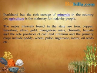 Jharkhand has the rich storage of minerals in the country
yet agriculture is the mainstay for majority people.
The major minerals found in the state are iron, copper,
limestone, silver, gold, manganese, mica, chromite, bauxite
and the sole producer of coal and uranium and the primary
crops include paddy, wheat, pulse, sugarcane, maize, oil seeds
etc..
 