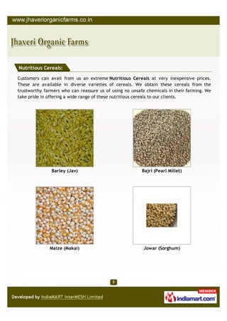 Nutritious Cereals:

Customers can avail from us an extreme Nutritious Cereals at very inexpensive prices.
These are available in diverse varieties of cereals. We obtain these cereals from the
trustworthy farmers who can reassure us of using no unsafe chemicals in their farming. We
take pride in offering a wide range of these nutritious cereals to our clients.




               Barley (Jav)                              Bajri (Pearl Millet)




              Maize (Makai)                              Jowar (Sorghum)
 