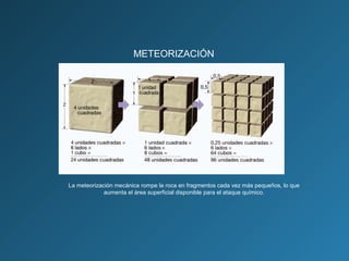 METEORIZACIÓN
La meteorización mecánica rompe la roca en fragmentos cada vez más pequeños, lo que
aumenta el área superficial disponible para el ataque químico.
 