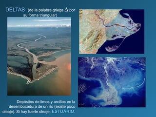 DELTAS (de la palabra griega ∆ por
su forma triangular)
Depósitos de limos y arcillas en la
desembocadura de un río (existe poco
oleaje). Si hay fuerte oleaje: ESTUARIOESTUARIO.
 