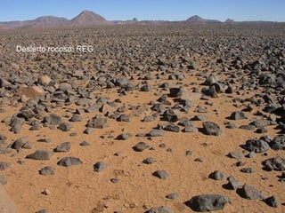 Desierto rocoso: REG
 