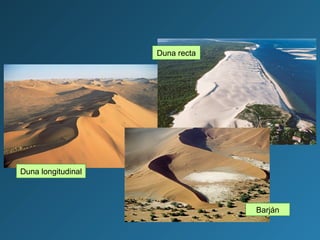 Barján
Duna longitudinal
Duna recta
 