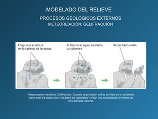 Meteorización mecánica. Gelifracción. Cuando se producen cuñas de hielo en un ambiente
como este los trozos caen a la base del acantilado y crean una acumulación en forma de
cono llamada canchal.
PROCESOS GEOLÓGICOS EXTERNOS
METEORIZACIÓN: GELIFRACCIÓN
MODELADO DEL RELIEVE
 