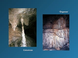 ColumnasColumnas
‘‘Órganos’Órganos’
 
