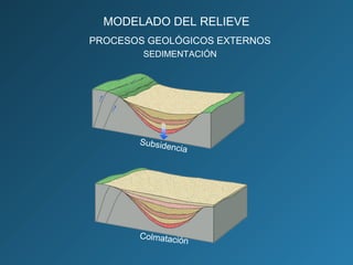 MODELADO DEL RELIEVE
PROCESOS GEOLÓGICOS EXTERNOS
SEDIMENTACIÓN
Subsidencia
Colmatación
 