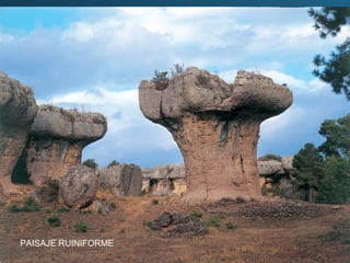 PAISAJE RUINIFORME
 