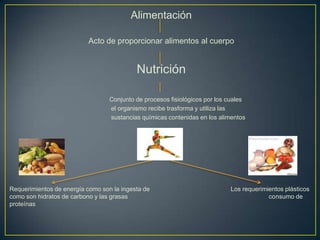 Alimentación
Acto de proporcionar alimentos al cuerpo
Nutrición
Conjunto de procesos fisiológicos por los cuales
el organismo recibe trasforma y utiliza las
sustancias químicas contenidas en los alimentos
Requerimientos de energía como son la ingesta de Los requerimientos plásticos
como son hidratos de carbono y las grasas consumo de
proteínas
 